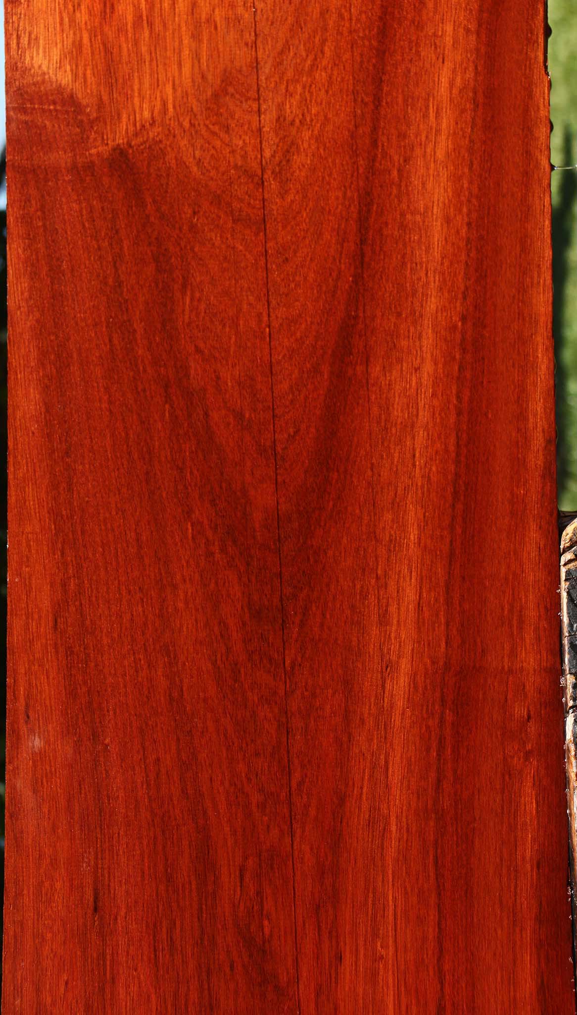 Bloodwood Lumber