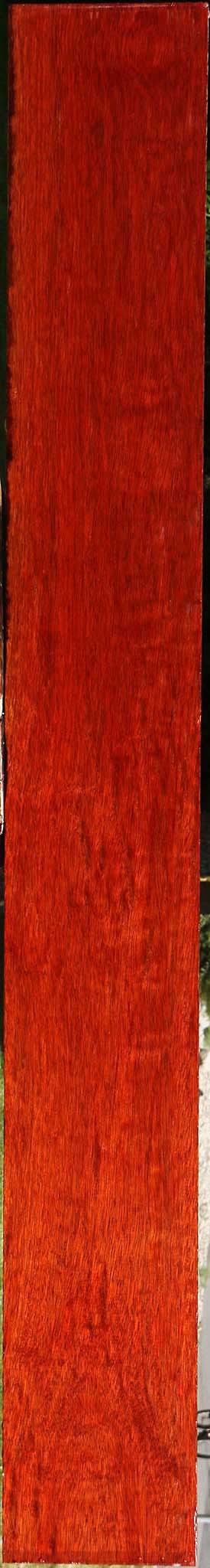 Extra Fancy Bloodwood Lumber
