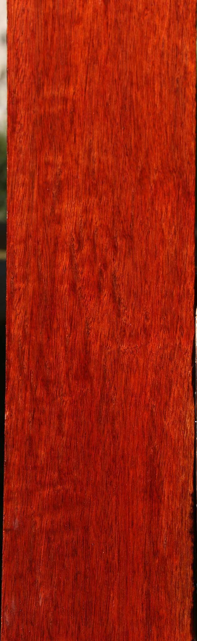 Extra Fancy Bloodwood Lumber