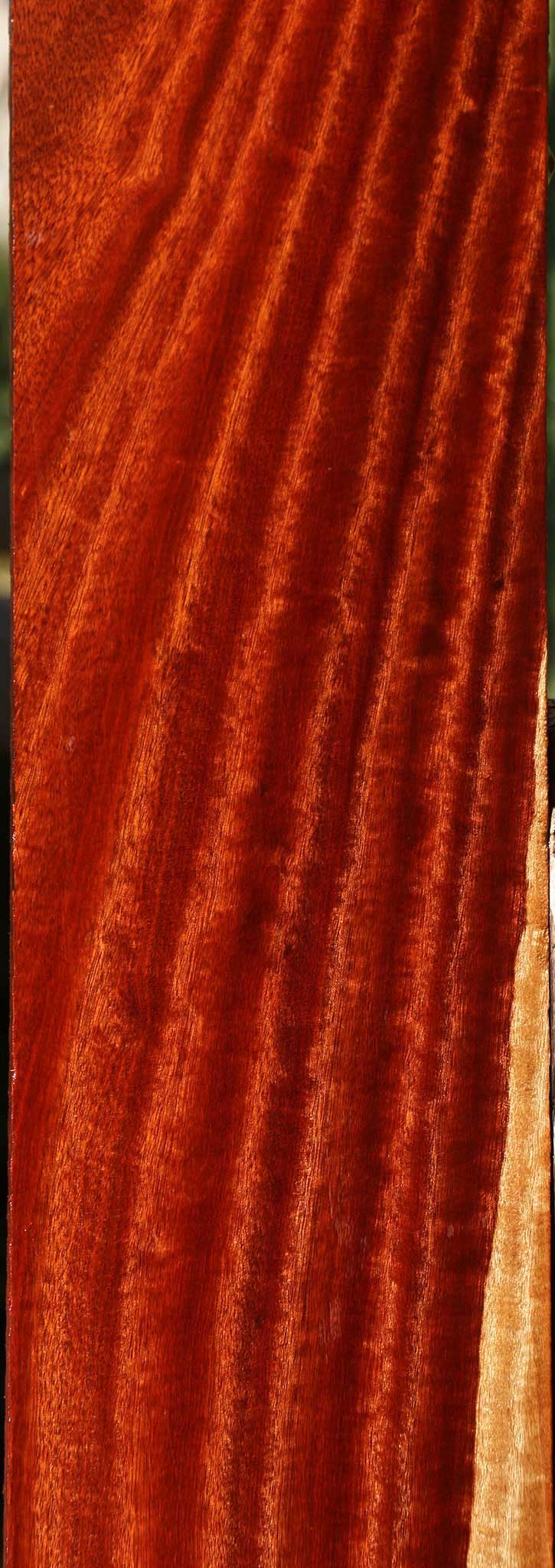 Figured Bloodwood Lumber