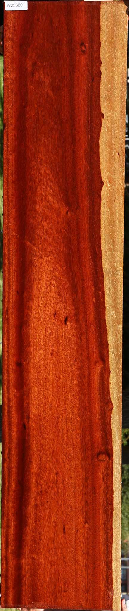 Figured Bloodwood Lumber