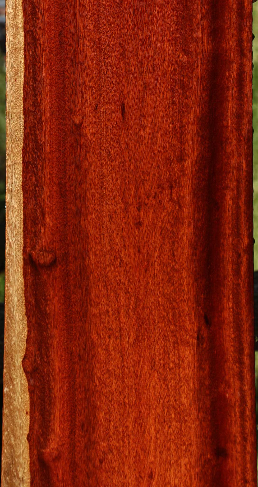 Figured Bloodwood Lumber