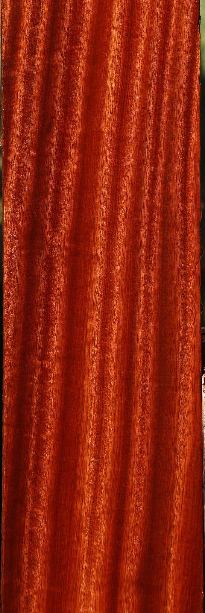 Figured Bloodwood Lumber