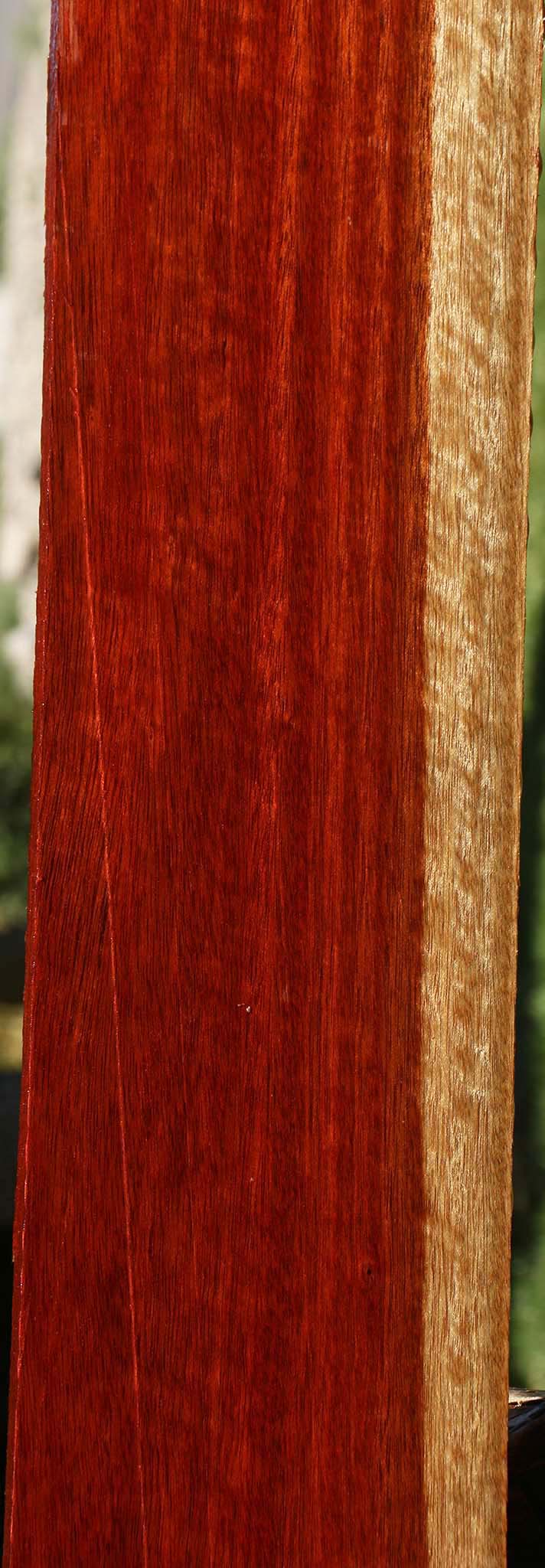 Figured Bloodwood Lumber