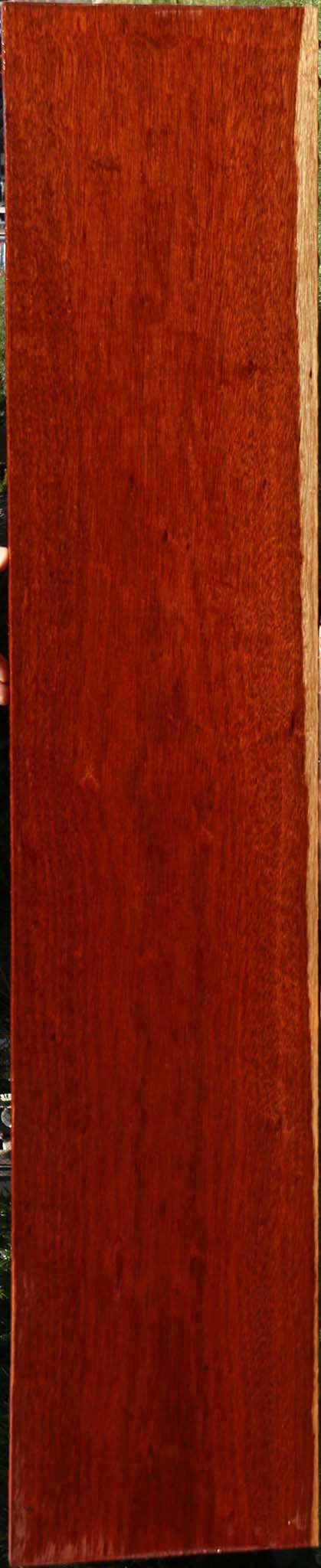 Figured Bloodwood Lumber