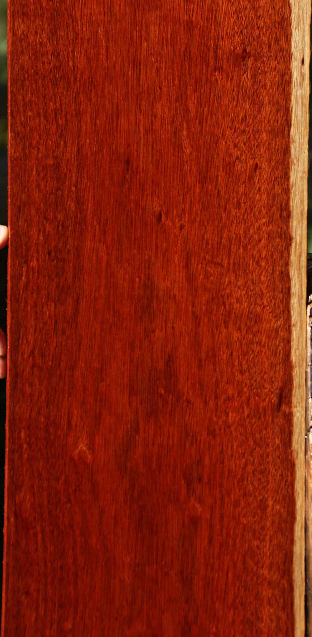 Figured Bloodwood Lumber
