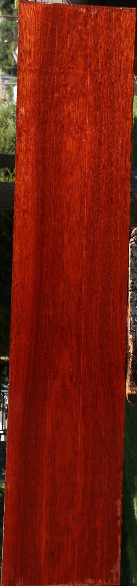Bloodwood Lumber