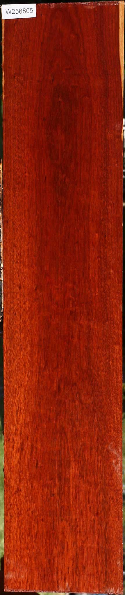 Bloodwood Lumber