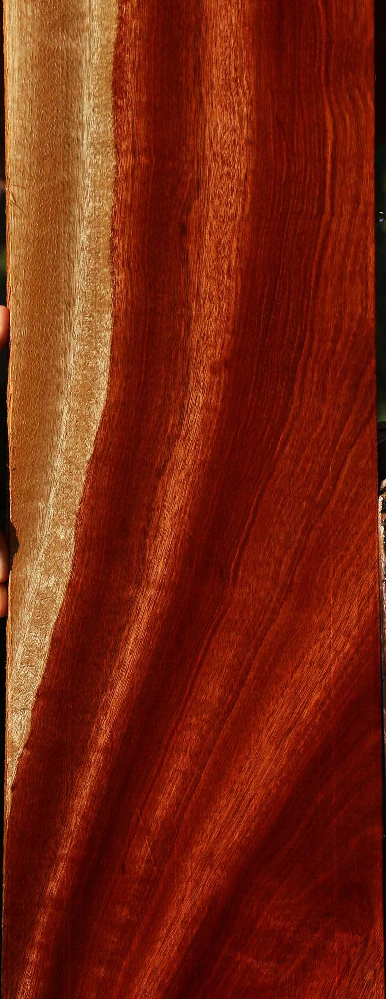 Figured Bloodwood Lumber