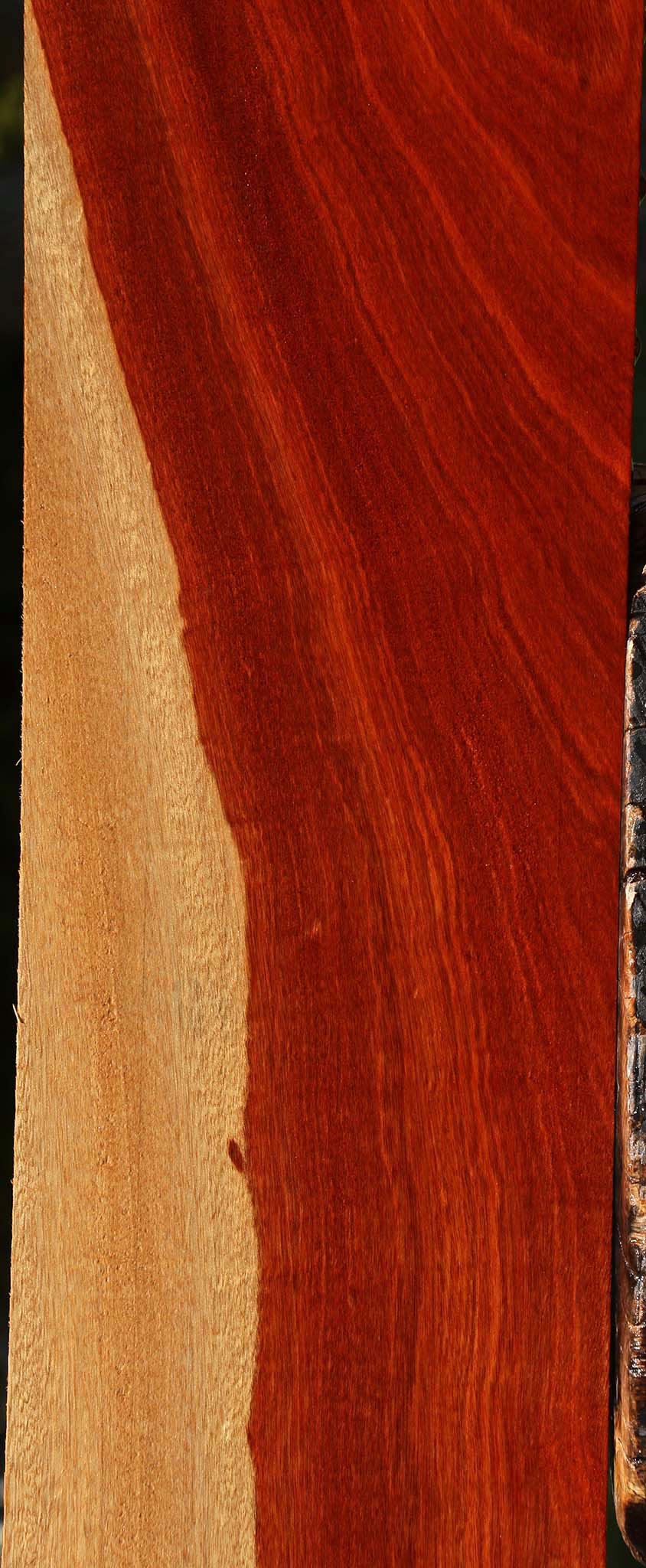 Figured Bloodwood Lumber