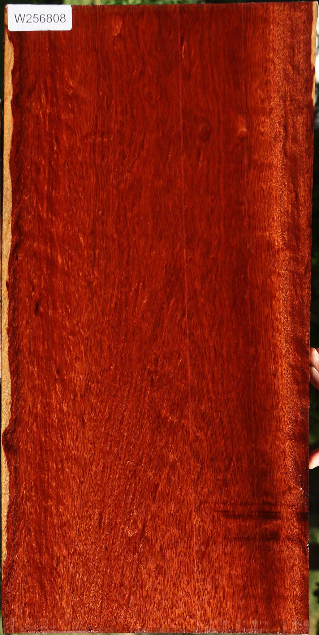 Extra Fancy Bloodwood Lumber