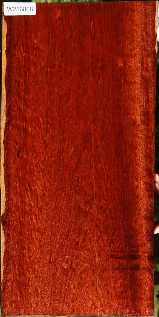Extra Fancy Bloodwood Lumber