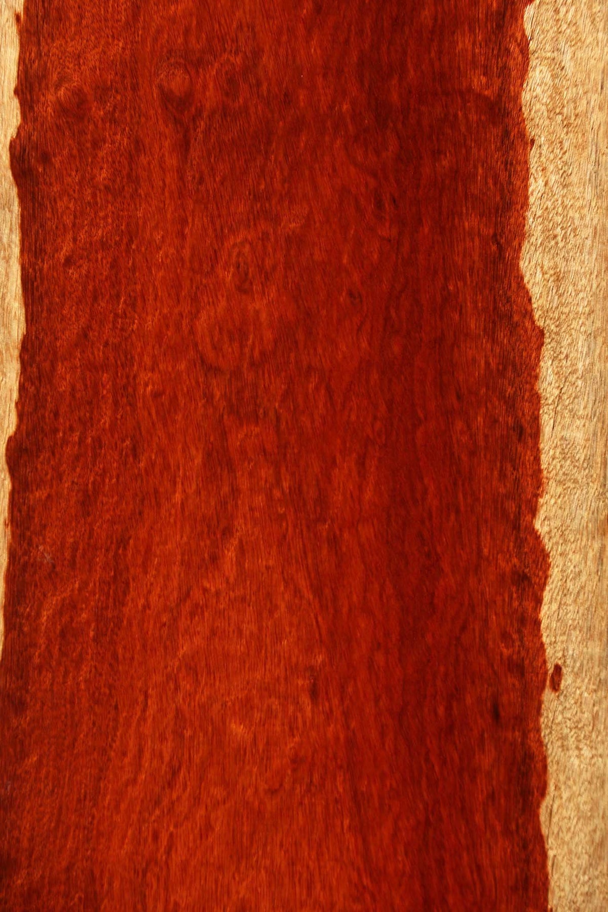 Extra Fancy Bloodwood Lumber