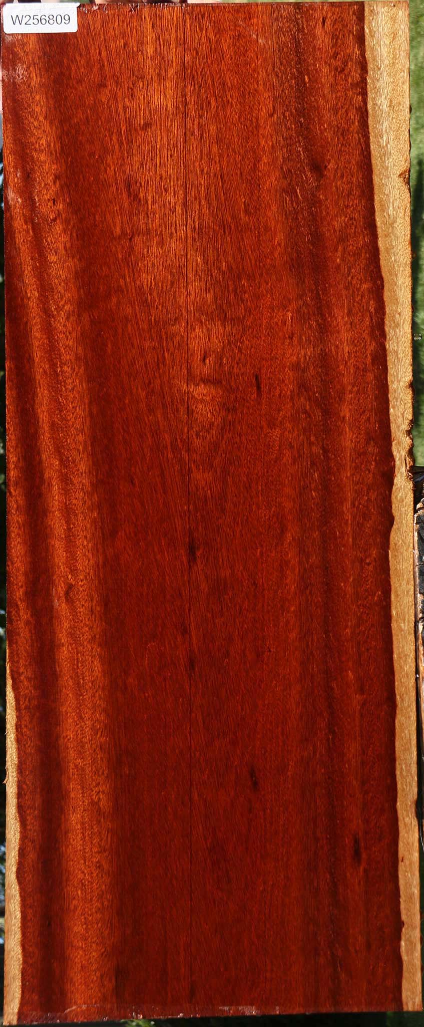 Figured Bloodwood Lumber