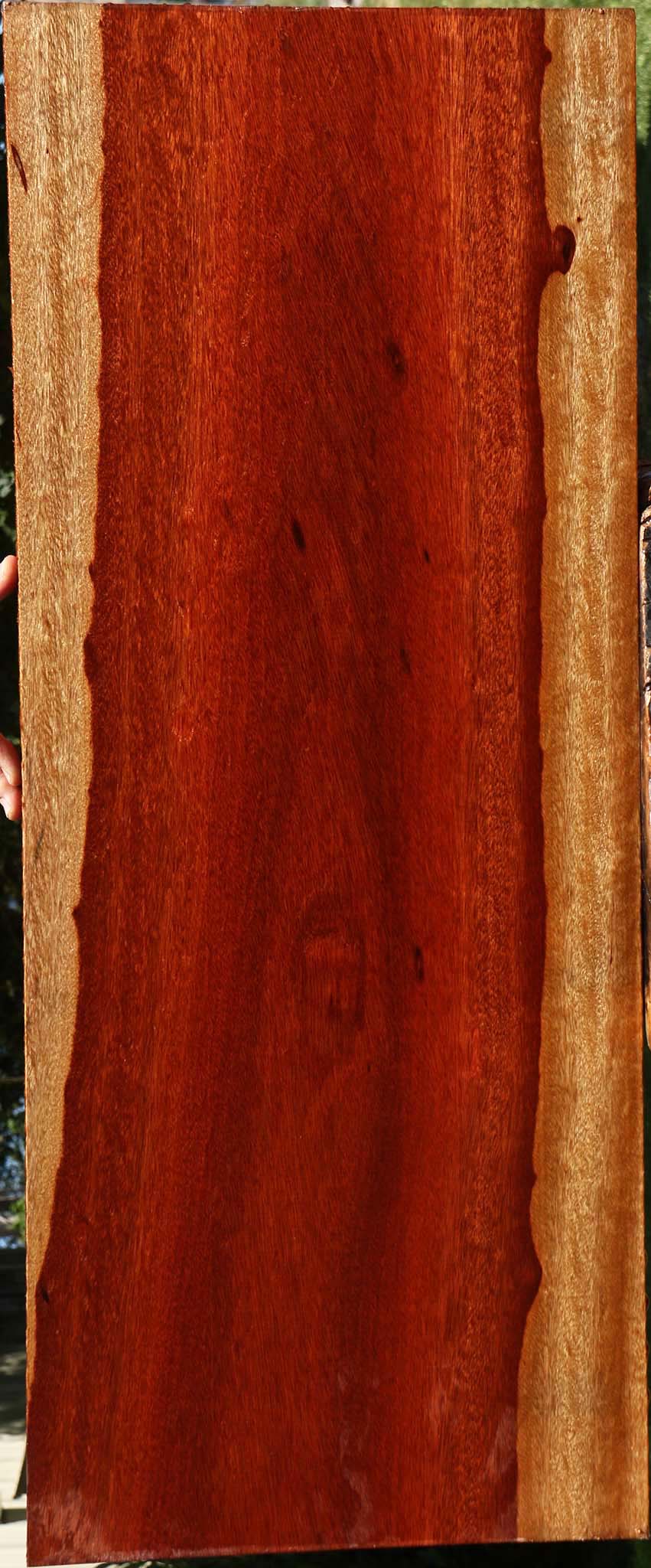 Figured Bloodwood Lumber