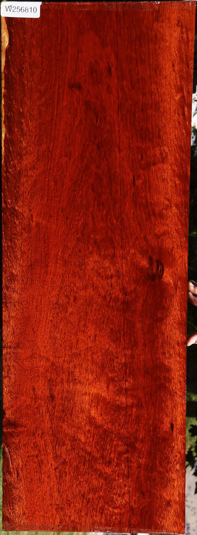 Extra Fancy Bloodwood Lumber