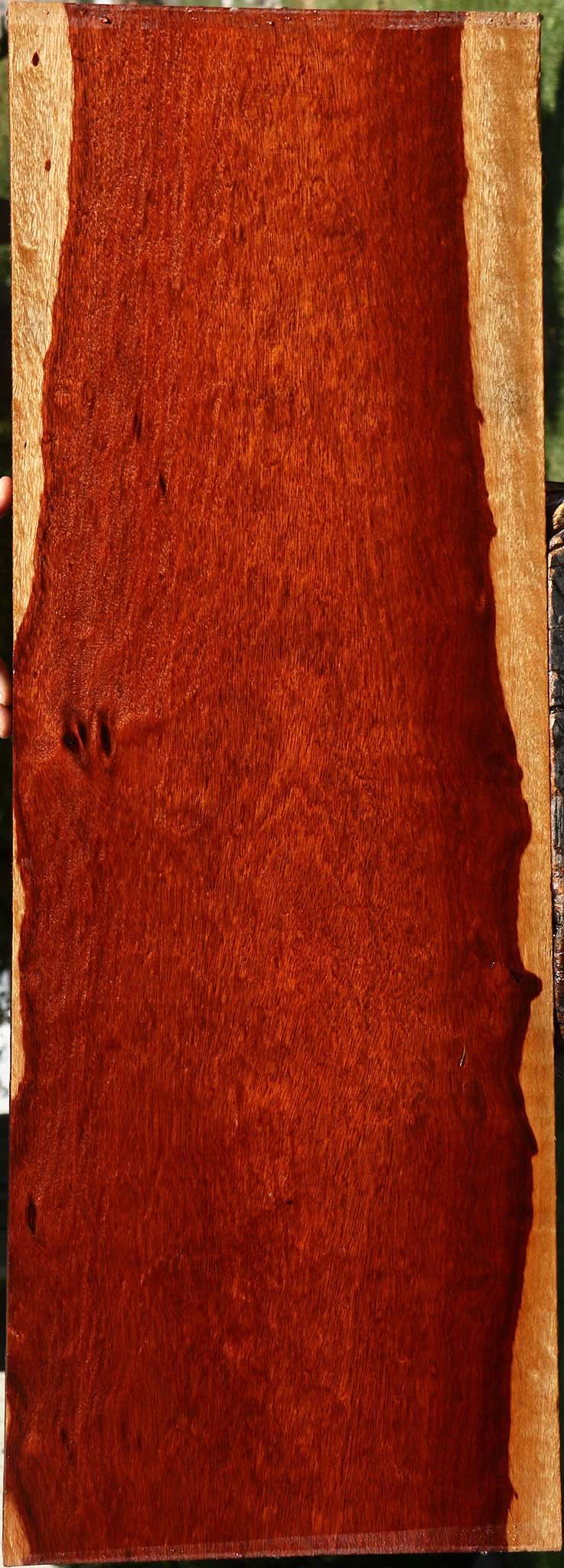 Extra Fancy Bloodwood Lumber