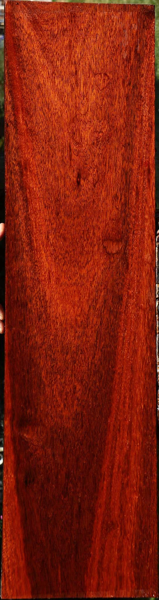 Extra Fancy Bloodwood Lumber