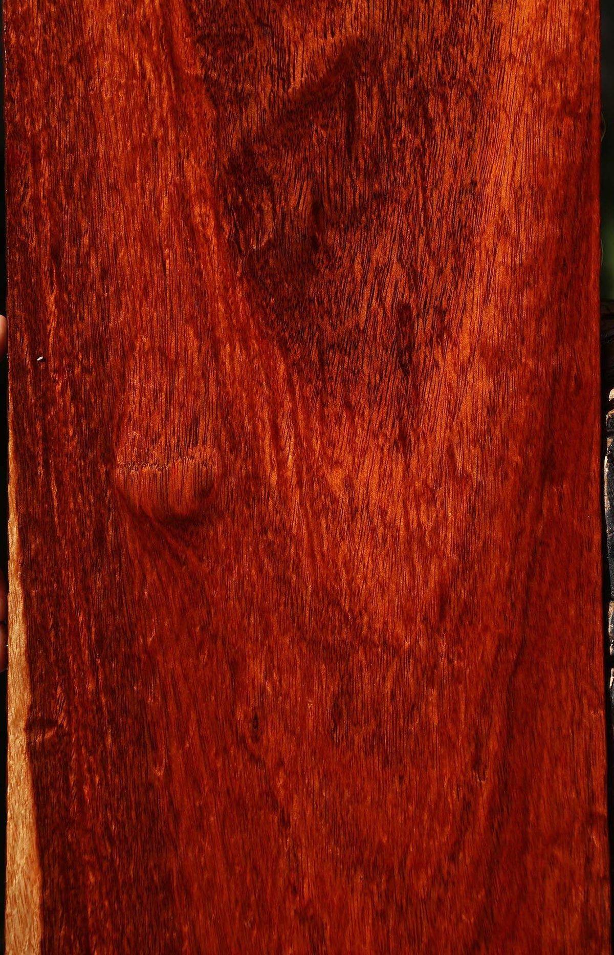Extra Fancy Bloodwood Lumber