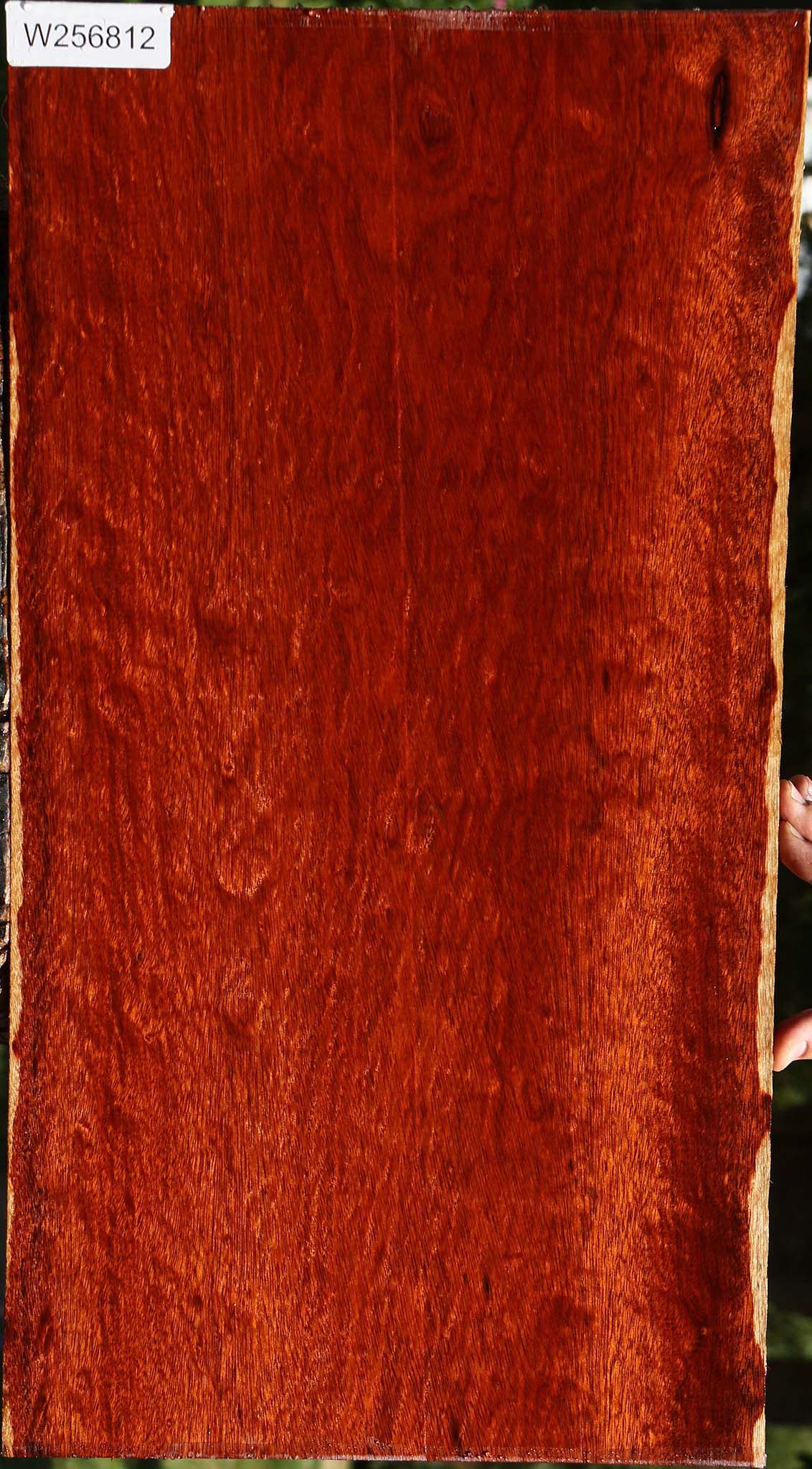 Extra Fancy Bloodwood Lumber