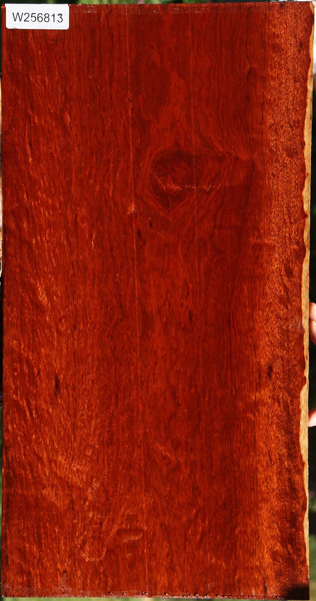 Extra Fancy Bloodwood Lumber