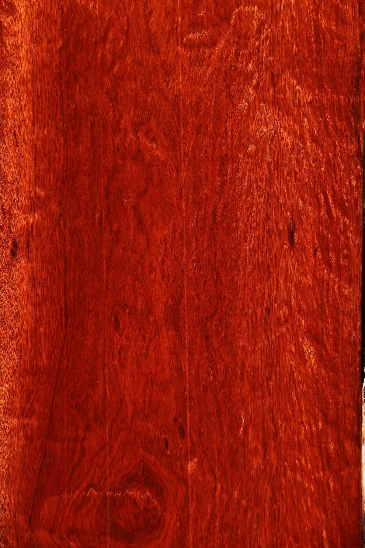Extra Fancy Bloodwood Lumber
