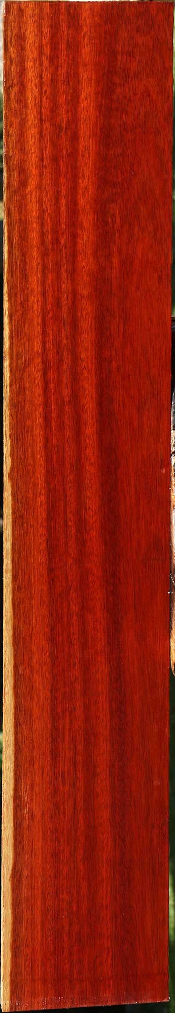 Bloodwood Lumber