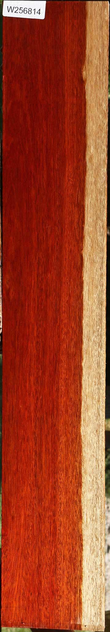 Bloodwood Lumber