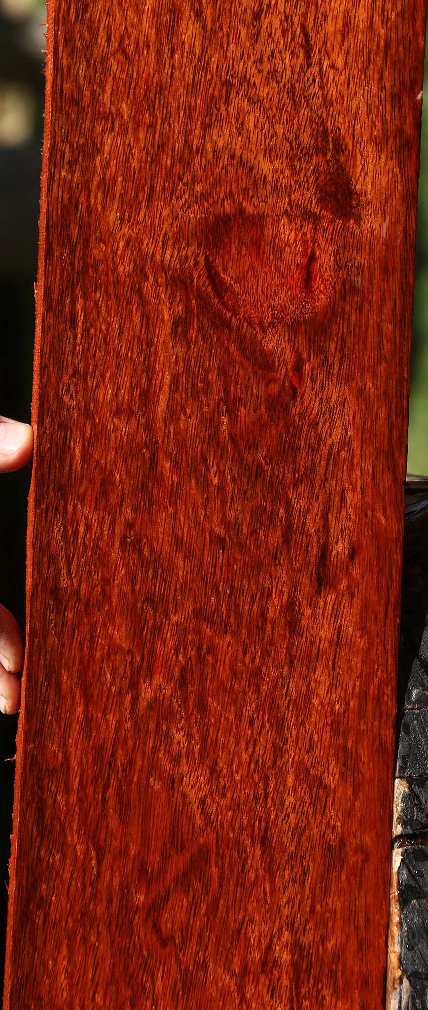 Extra Fancy Bloodwood Lumber
