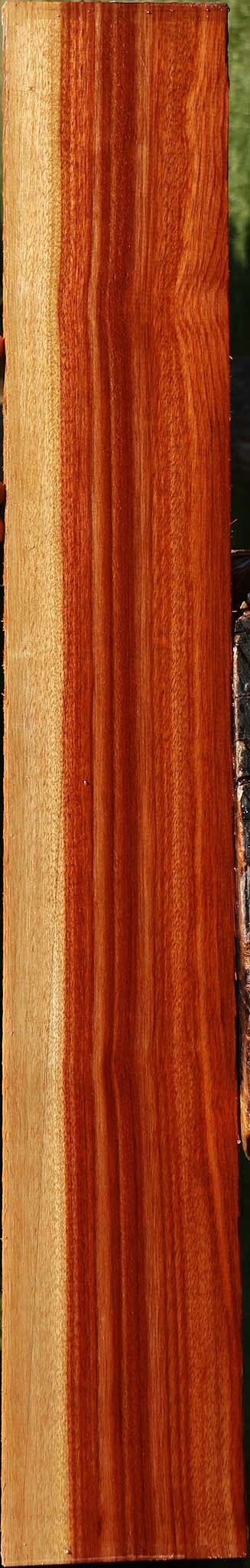 Bloodwood Lumber