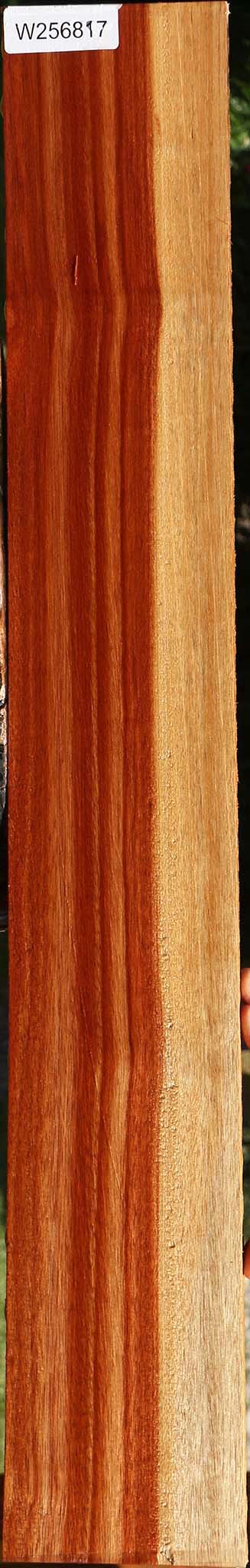 Bloodwood Lumber