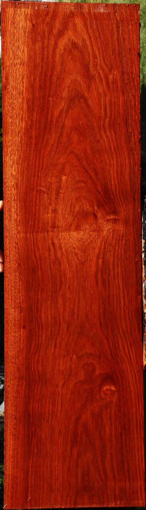 Bloodwood Lumber