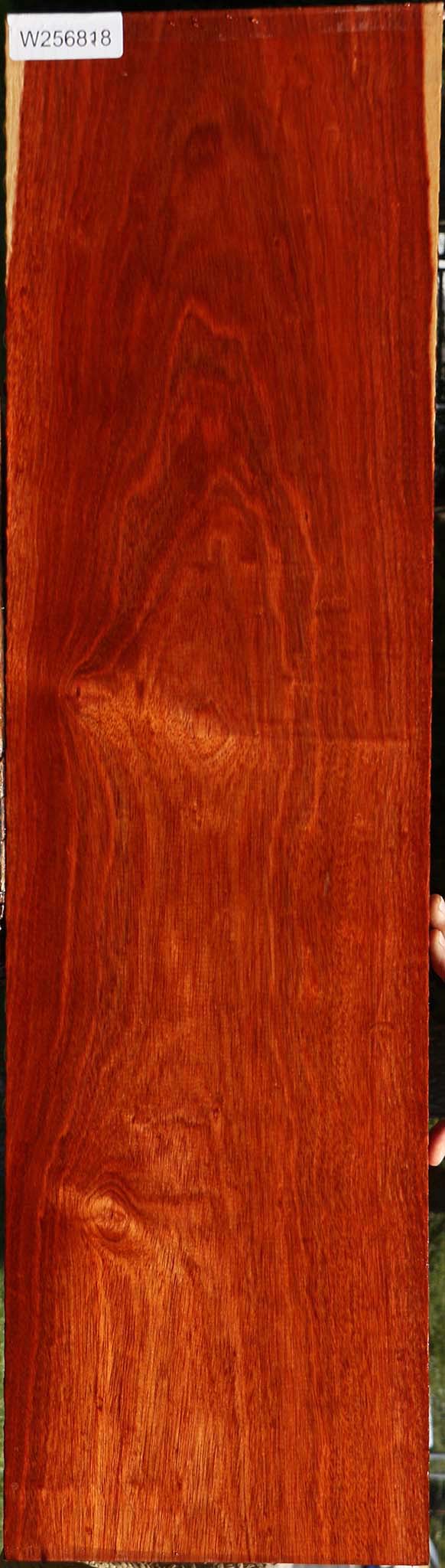Bloodwood Lumber
