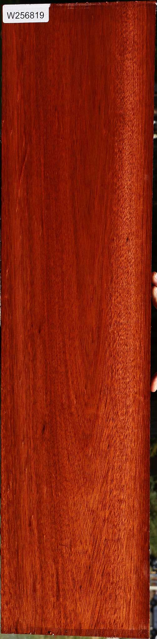 Bloodwood Lumber