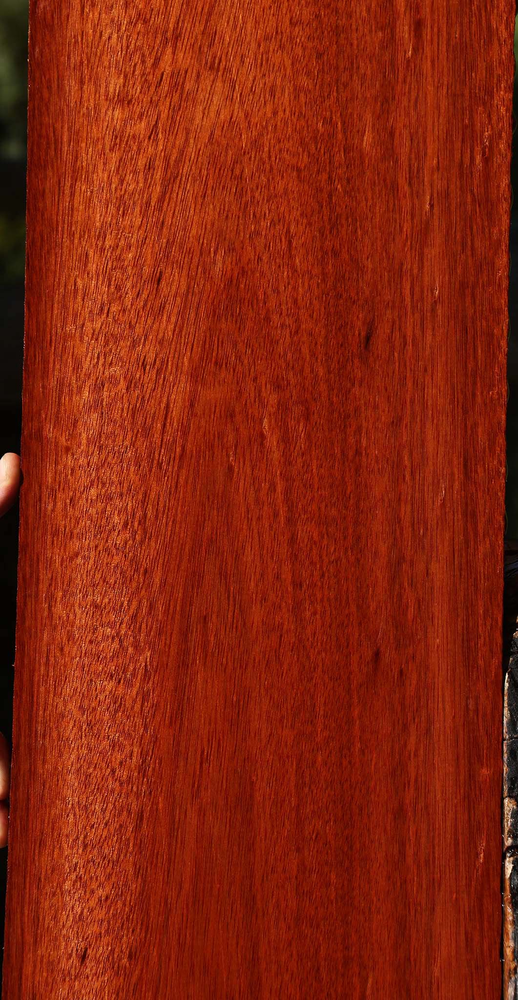 Bloodwood Lumber