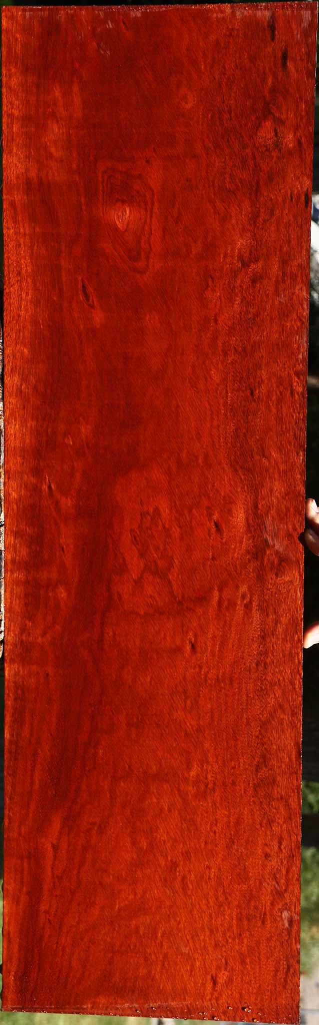 Extra Fancy Bloodwood Lumber