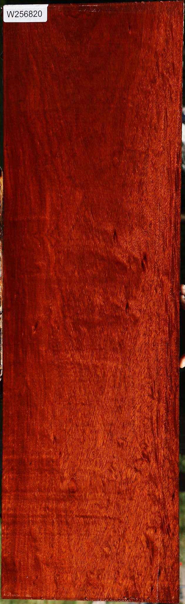 Extra Fancy Bloodwood Lumber