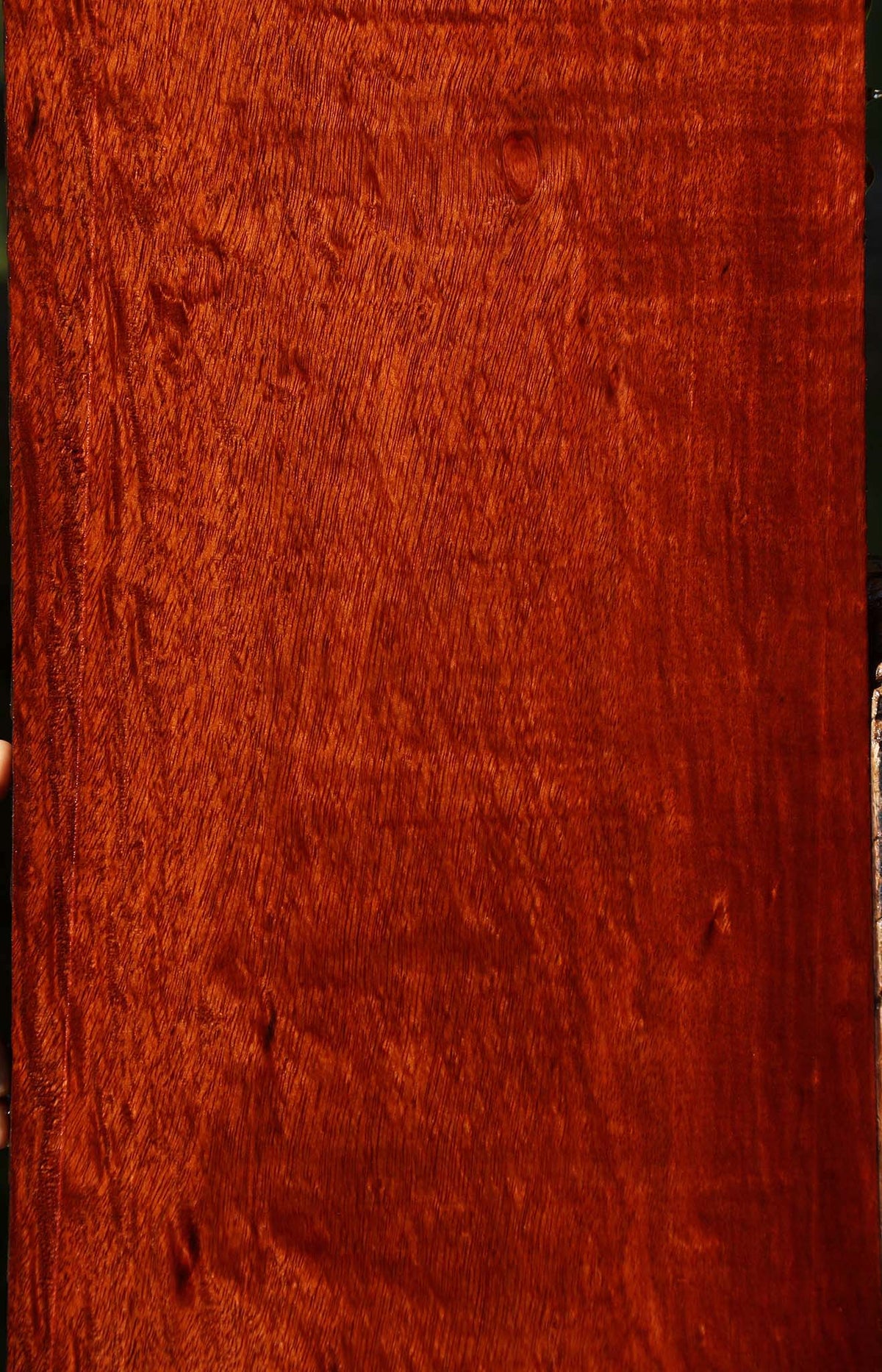 Extra Fancy Bloodwood Lumber