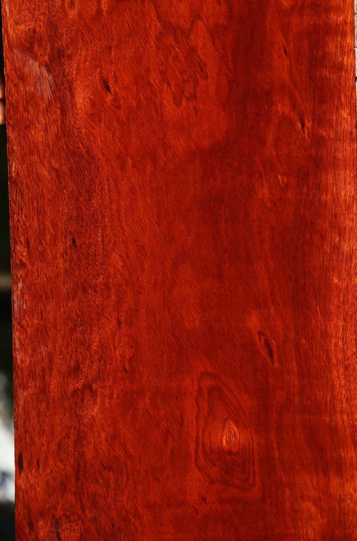 Extra Fancy Bloodwood Lumber