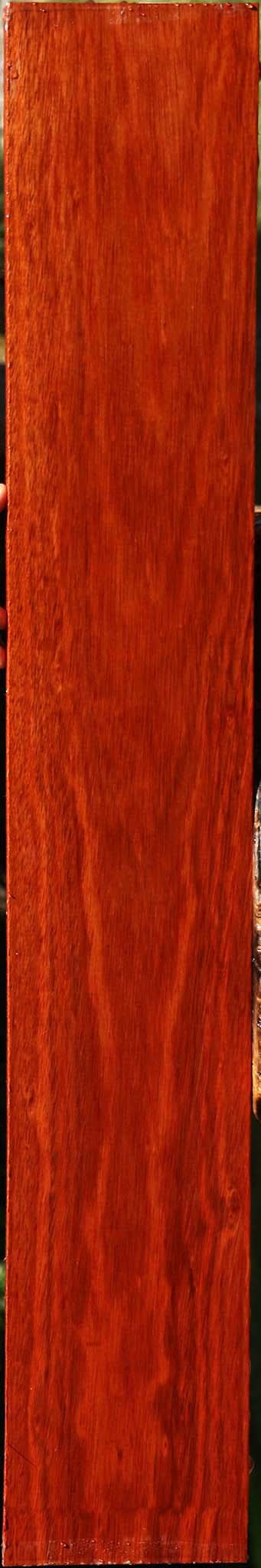 Bloodwood Lumber