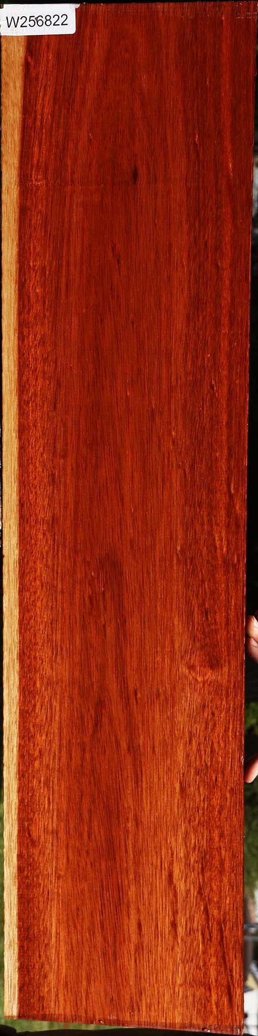 Bloodwood Lumber