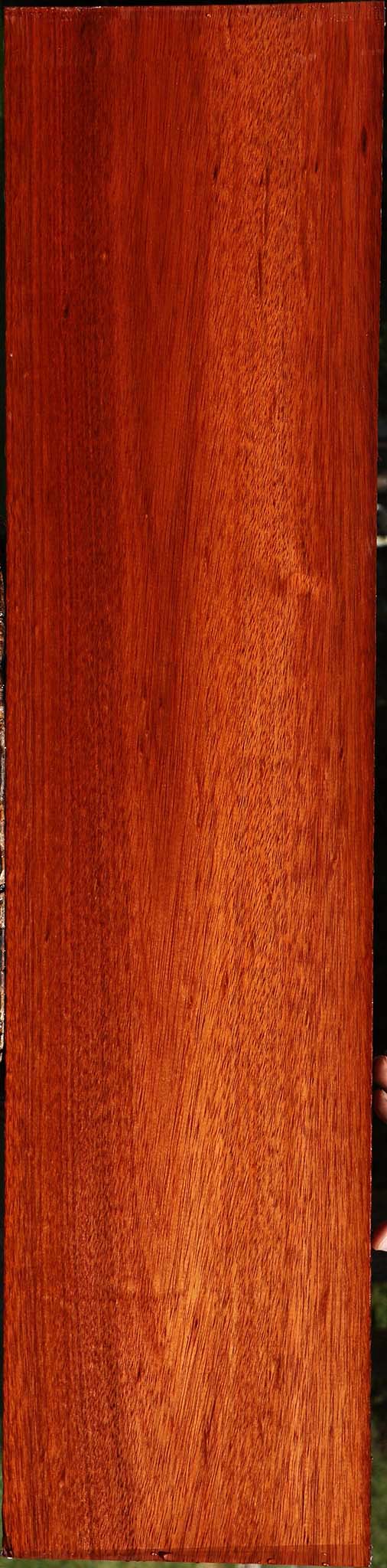 Bloodwood Lumber