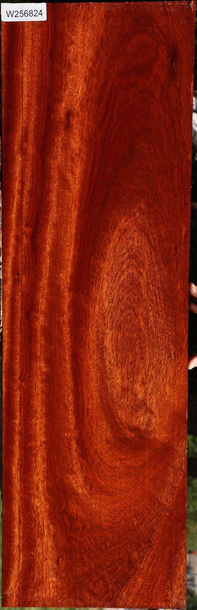 Figured Bloodwood Lumber
