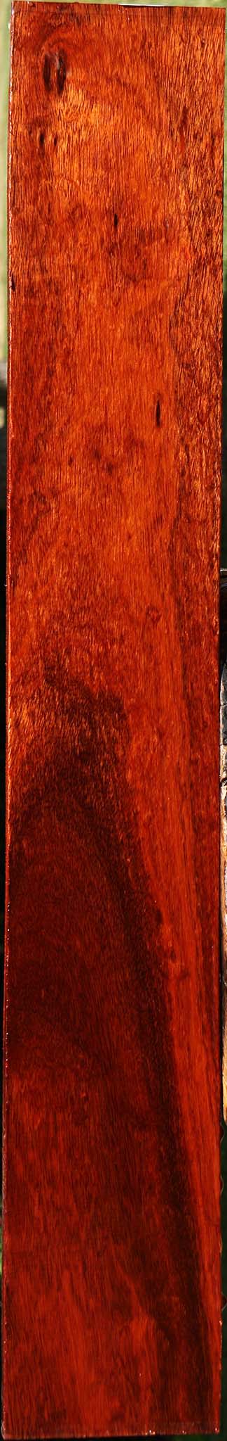 Extra Fancy Bloodwood Lumber