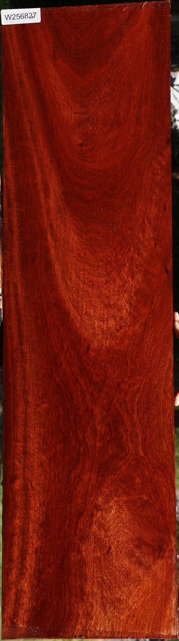 Figured Bloodwood Lumber