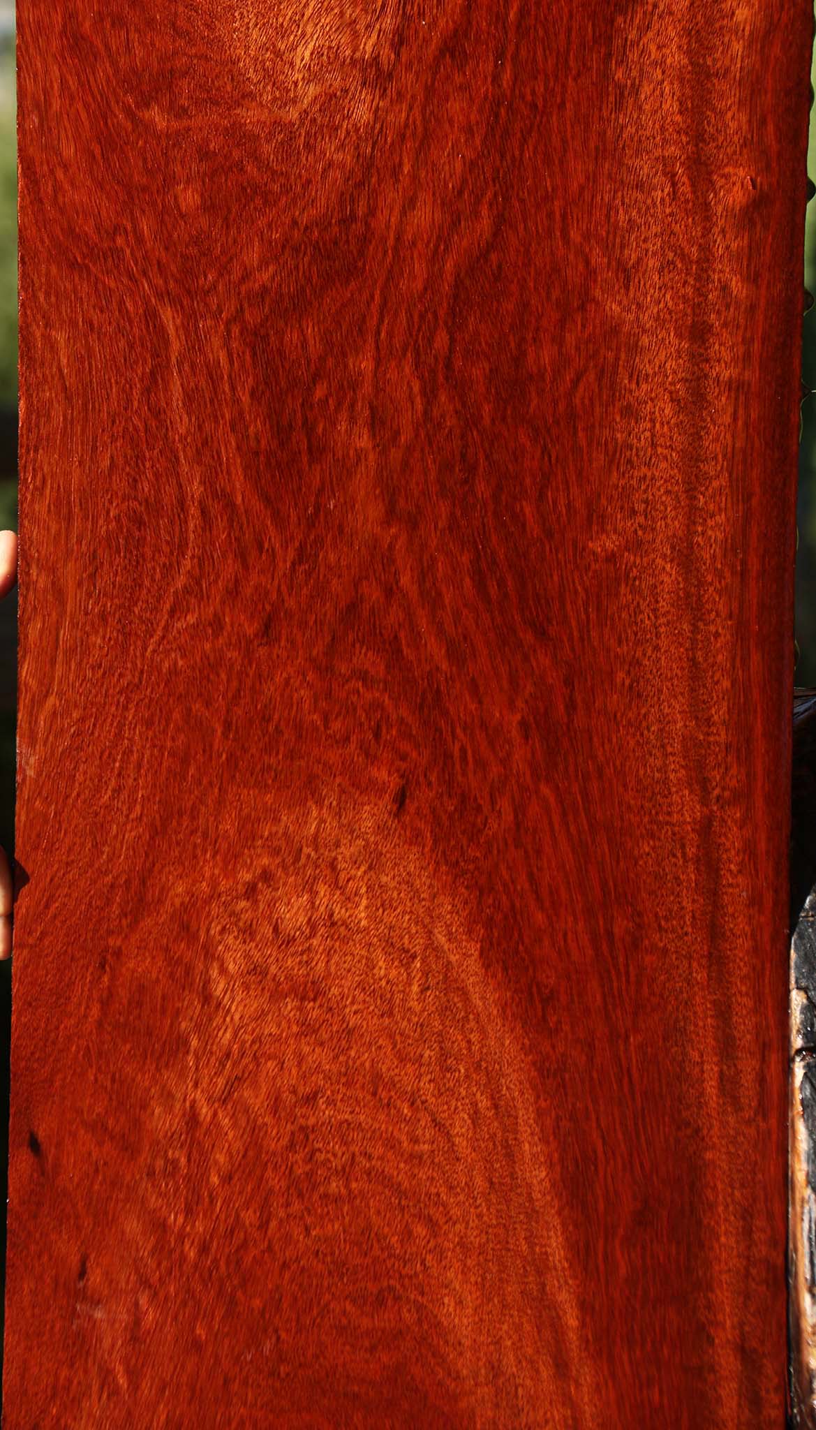 Figured Bloodwood Lumber