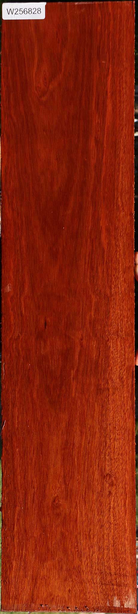 Figured Bloodwood Lumber