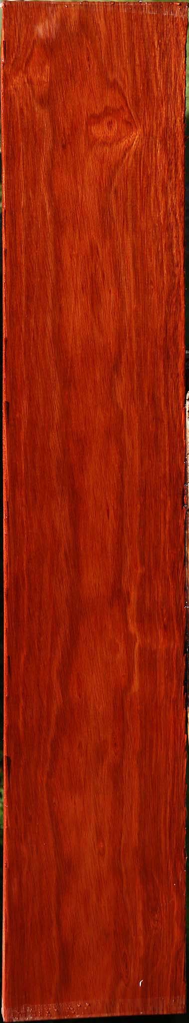 Bloodwood Lumber