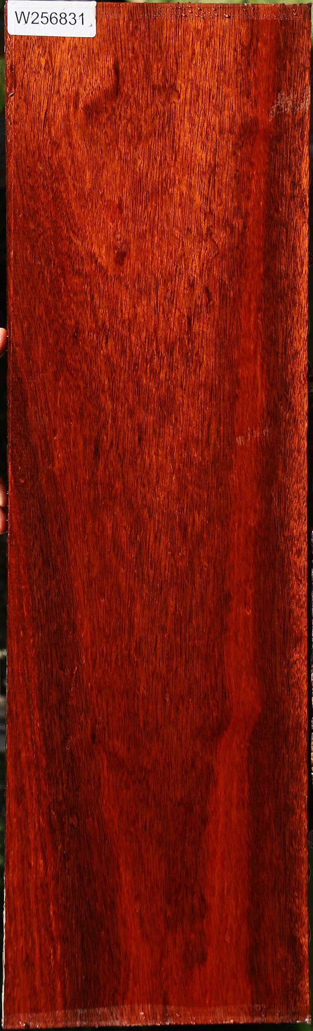 Figured Bloodwood Lumber