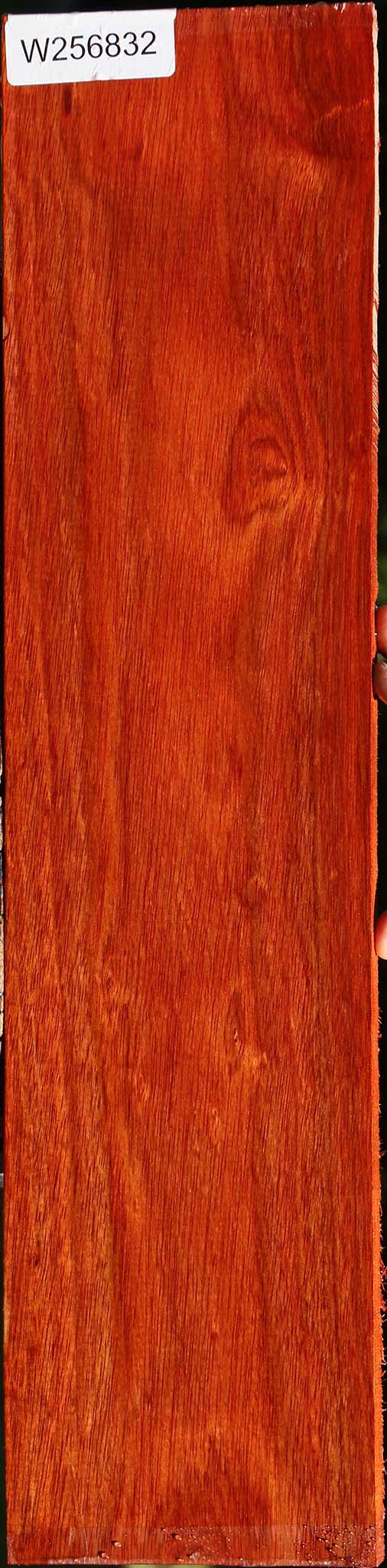 Bloodwood Lumber